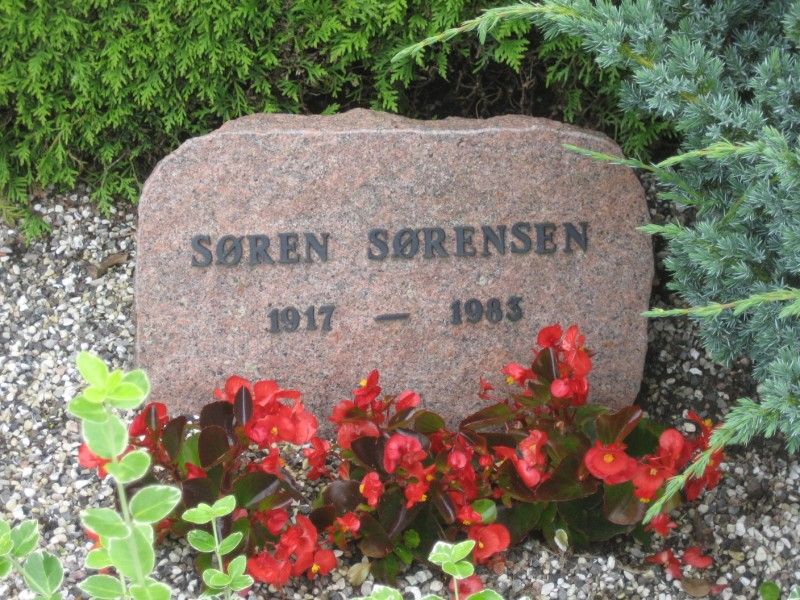 Soeren  Soerensen.jpg